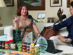 Growing gold from malunggay — An entrepreneur’s guide