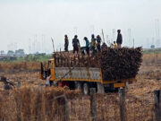 Victorias Milling income slides 12.6% on higher costs