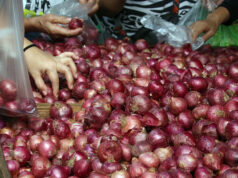 Inflation risks may limit BSP easing