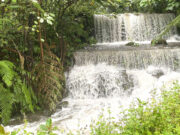 Repower acquires 95% stake in Bukidnon hydropower project