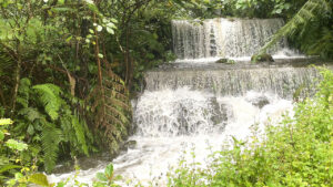 Repower acquires 95% stake in Bukidnon hydropower project