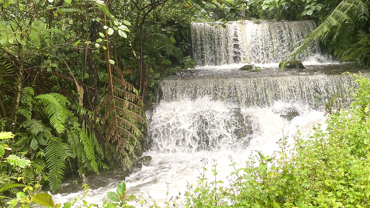 Repower acquires 95% stake in Bukidnon hydropower project