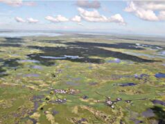 Farm roads seen unlocking agricultural potential of underused parts of Mindanao