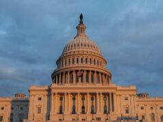 Judge grants injunction blocking US from detaining British anti-disinformation activist