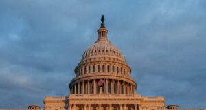 Judge grants injunction blocking US from detaining British anti-disinformation activist