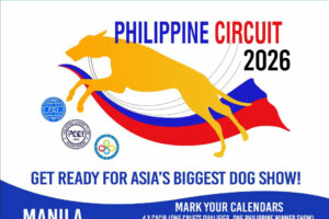 Stuff to Do (01/23/26)