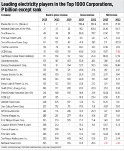 10 major players in the Philippine electricity sector