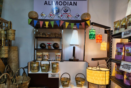 Bamboo enterprise empowers residents with market access