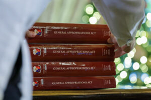 Yearender: PHL budget system seen as test case for transparency reforms