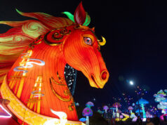 Chinese lantern festival lights up for Lunar New Year