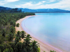 MREIT allocates P184M from share sale to township projects