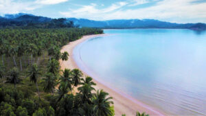 MREIT allocates P184M from share sale to township projects