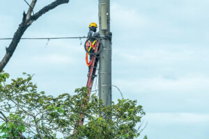 Meralco rates go down in January