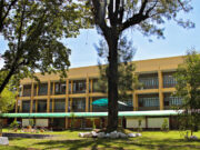 New tech seen cutting hatchery reliance on wild mangrove crabs