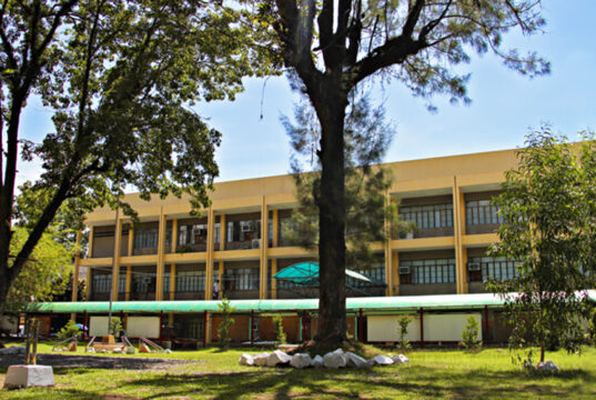 New tech seen cutting hatchery reliance on wild mangrove crabs