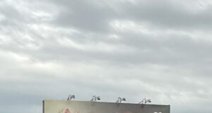 Animal Kingdom Foundation Launches Hard-Hitting “Bugok!” Billboard Calling Out False Cage-Free Claims