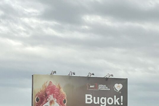 Animal Kingdom Foundation Launches Hard-Hitting “Bugok!” Billboard Calling Out False Cage-Free Claims