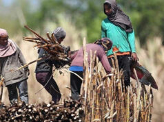 Sugar industry still admin priority