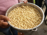 White corn gives Cagayan farmers a lifeline after years of debt and flood losses