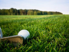 Masterplanned golf course communities: Landscapes of play, stewardship, and community