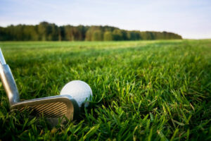 Masterplanned golf course communities: Landscapes of play, stewardship, and community