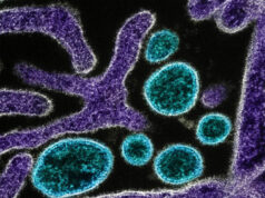 India reports two Nipah virus infections as Thailand, Malaysia step up screening