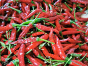 Planting, demand data seen key to averting sili price spikes