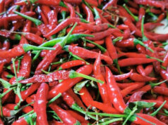 Planting, demand data seen key to averting sili price spikes