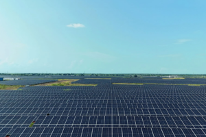 ACEN takes full control of India operations