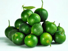 High-value crop export drive to require scaled-up output