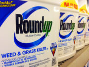 Trump weedkiller order could cost him political support in November midterms