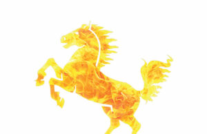 Following the blazing trail of the Fire Horse this 2026
