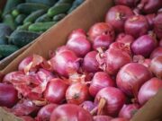 Red onion imports not deemed ‘overwhelming,’ Agri dep’t says