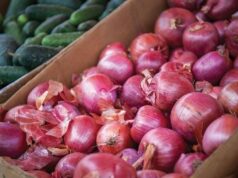 Red onion imports not deemed ‘overwhelming,’ Agri dep’t says