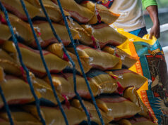 DA expecting a combined 300,000 MT of rice imports in March, April