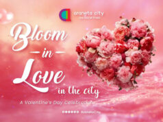 Stuff to Do (02/13/26)