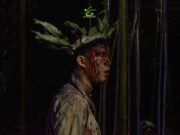 The buzz about Bangaw