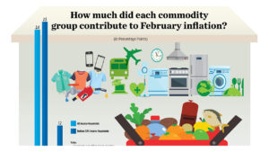 How much did each commodity group contribute to February inflation?