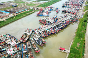 What does China’s host bid mean for the High Seas Treaty?