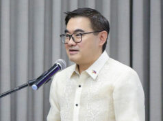 ‘Too early’ to seek fuel excise tax cut