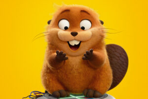 Stuff to Do (03/06/26)