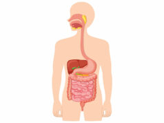 Preventing diverticulitis starts with healthy habits