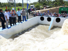 Marcos wants to scale solar-powered irrigation