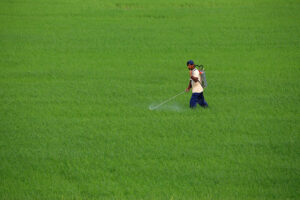 Philippines most at risk of fertilizer supply shock in Southeast Asia