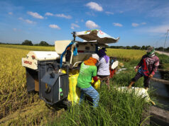 Assessing the first half of the Marcos Jr. administration: Agriculture