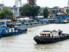 DoE clears limited rollout of Euro II fuels