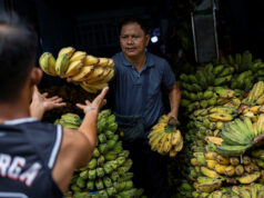 Prolonged Mideast war could dampen banana, pineapple exports