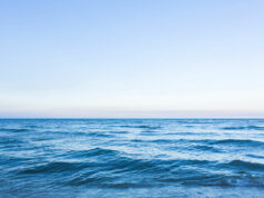 Japan: An indispensable ally for economic security