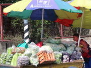 DA warns food prices to surge if oil prices remain elevated