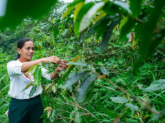 Filipino social enterprises are building a sustainable future for communities